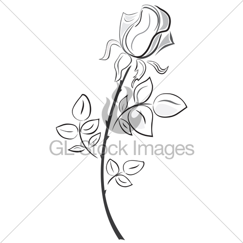 500x500 Rose In Hand Drawn Style Gl Stock Images