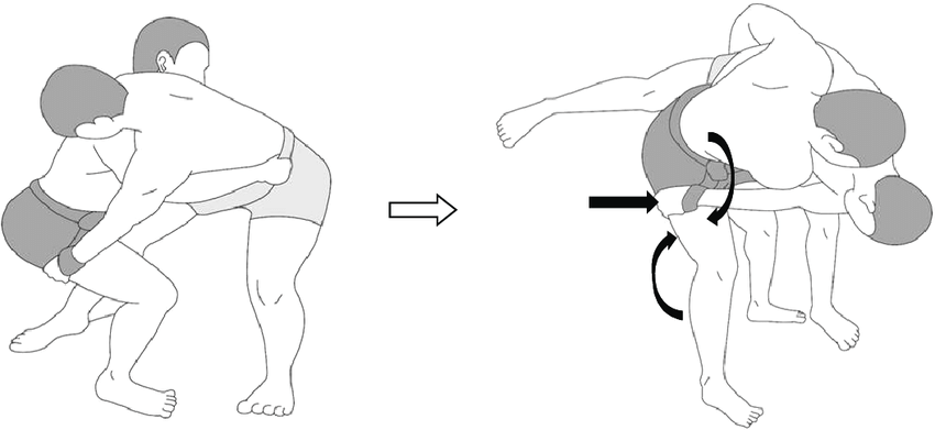 850x391 Schematic Figure Representing Of The Mechanism Of Injury Note