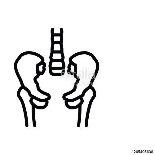 500x500 Black Line Icon For Hip Pelvis Stock Image And Royalty Free