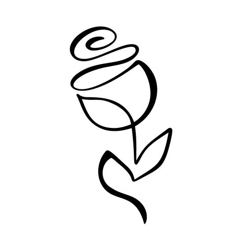 490x490 Rose Flower Concept Continuous Line Hand Drawing Calligraphic
