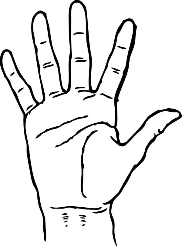 600x815 Hand Palm Coloring Pages