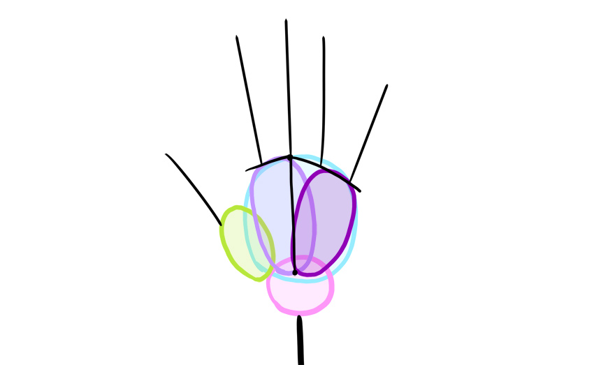 850x523 How To Draw Anime Hands And Feet