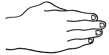 353x180 Learn How To Draw Hands With Drawing Lesson Hands Positions