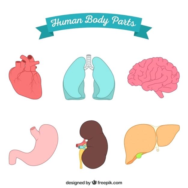 626x626 Drawn Body Huabu