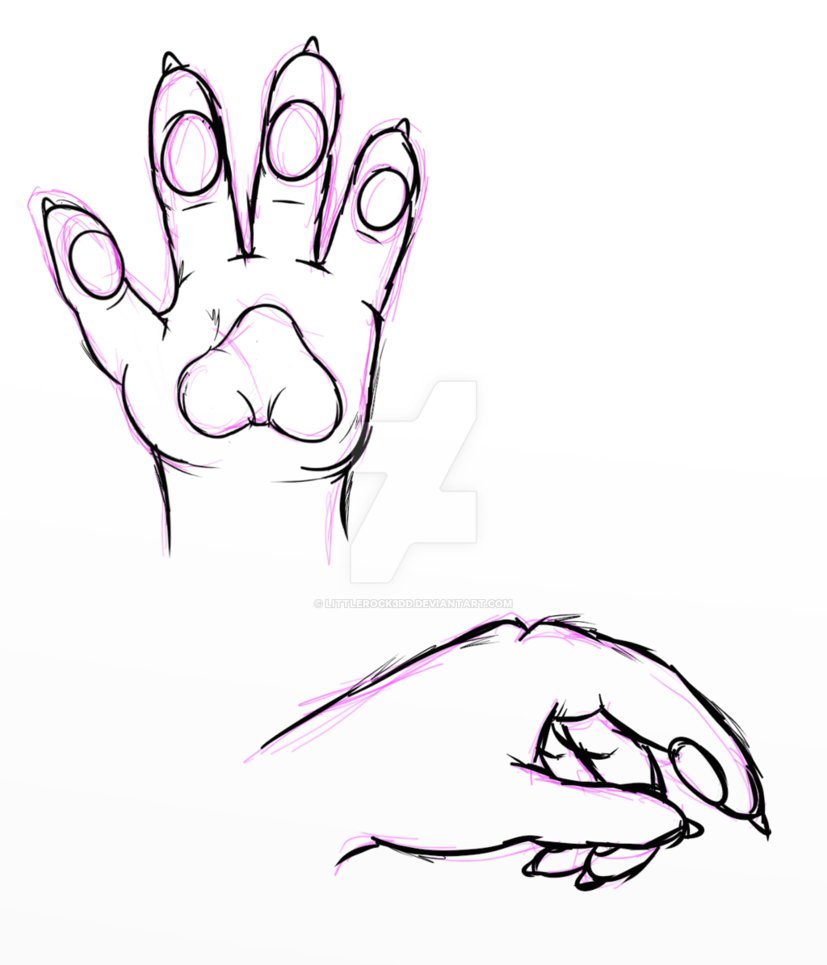 827x965 Handpaw Study