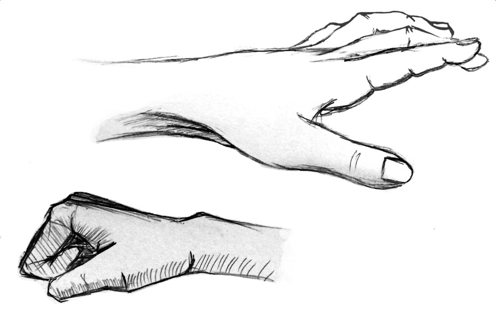 1000x653 sketches rachel stickney