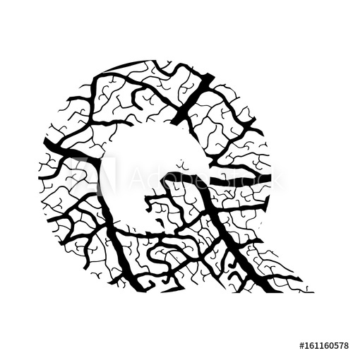 500x500 Nature Alphabet, Ecology Decorative Font Capital Letter Q Filled