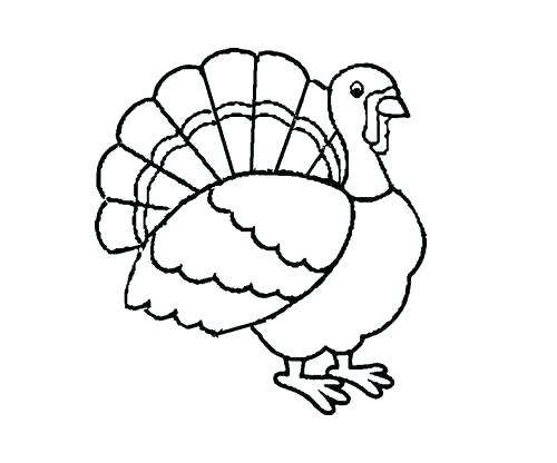 500x416 Easy Draw Turkey