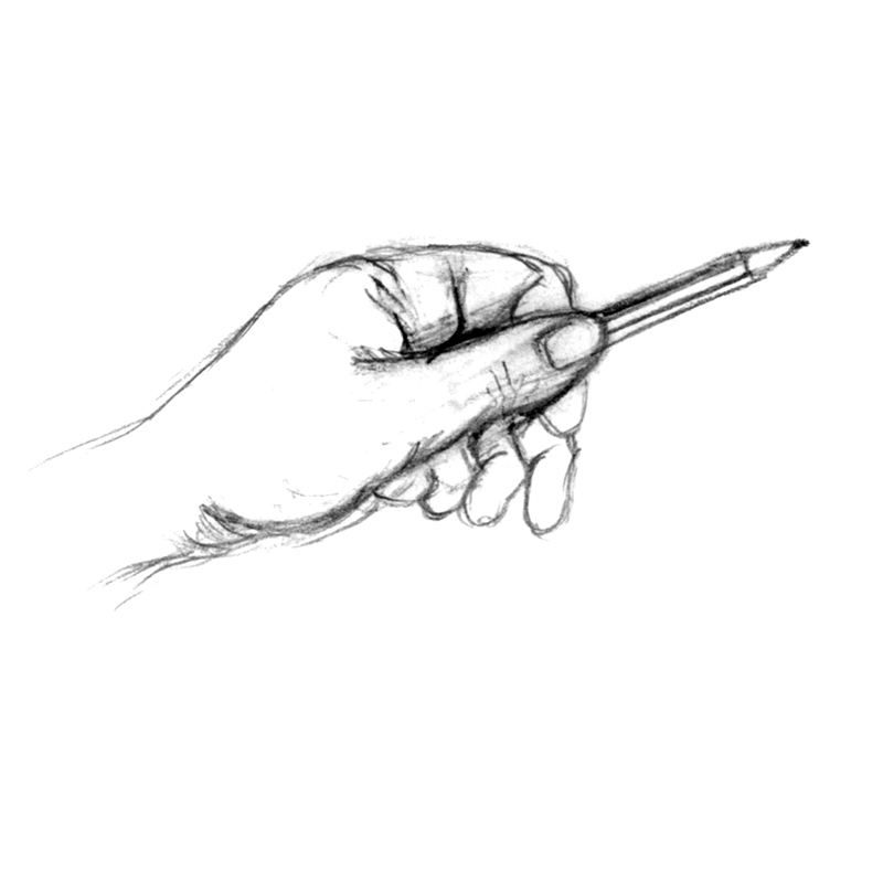 800x800 Horse Drawing Learn How To Draw Horses Diana Hand Equestrian Art