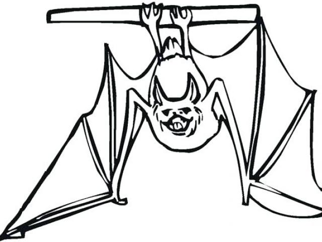 640x480 Drawn Bat Hanging Bat
