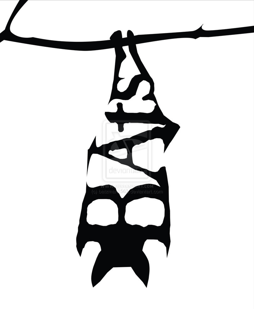 811x984 Hanging Bat Drawing