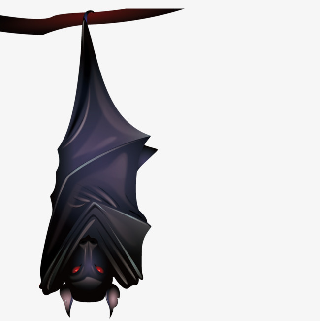 Download hanging bat images and photos. 