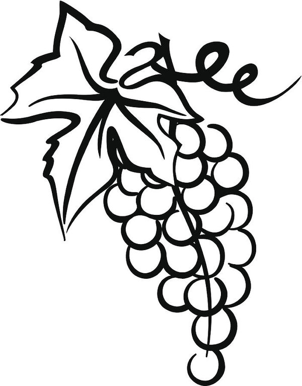 600x767 Bunch Of Grapes Simple Drawing With Leaf Swirly Vine Art Print