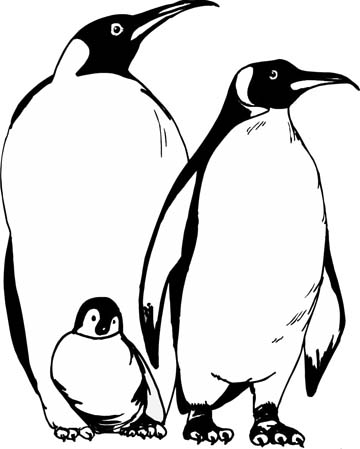 360x449 Penguin Coloring Pages For Those Have Happy Feet