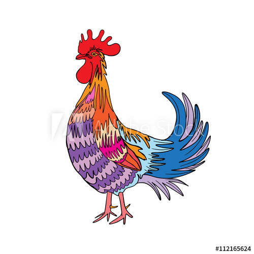 500x500 Rooster In Color, Hand Drawing Cock On White Chinese Zodiac