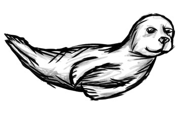 360x225 harbor seal phylo the trading card game