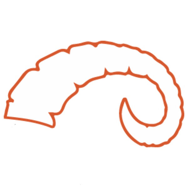 600x600 Harbor Springs To Induct Former Basketball Stars Into Hall Of Fame