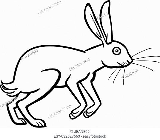536x470 Drawing Cape Hare Stock Photos And Images Age Fotostock