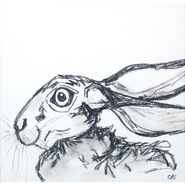 600x600 Quinn Russell Hare Drawing Sarah Yard Gallery