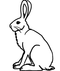 207x244 Hare Template Printable