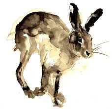 228x221 Best Hare Art Images Rabbits, Bunny, How To Draw