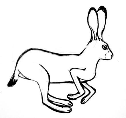 440x411 How To Draw A Hare