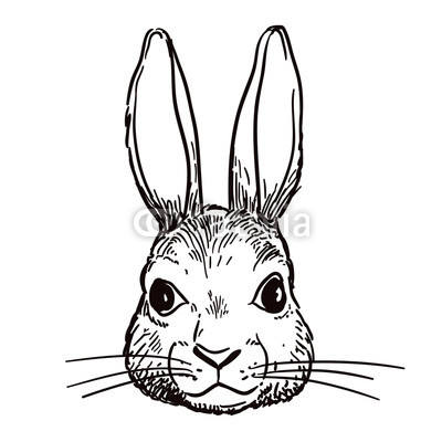 400x400 Vector Hand Drawn Pen And Ink Black And White Sketch Character