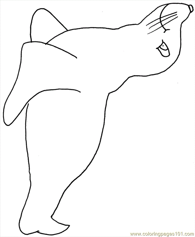 650x789 Baby Seal Coloring Pages Seal Animals Coloring Coloring Pages