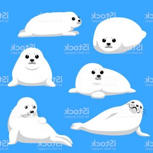 300x300 Harp Seal Pup Cute Cartoon Vector Illustration Gm Soidergi
