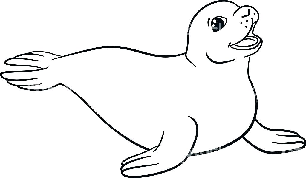 1024x597 Ba Harp Seal Coloring