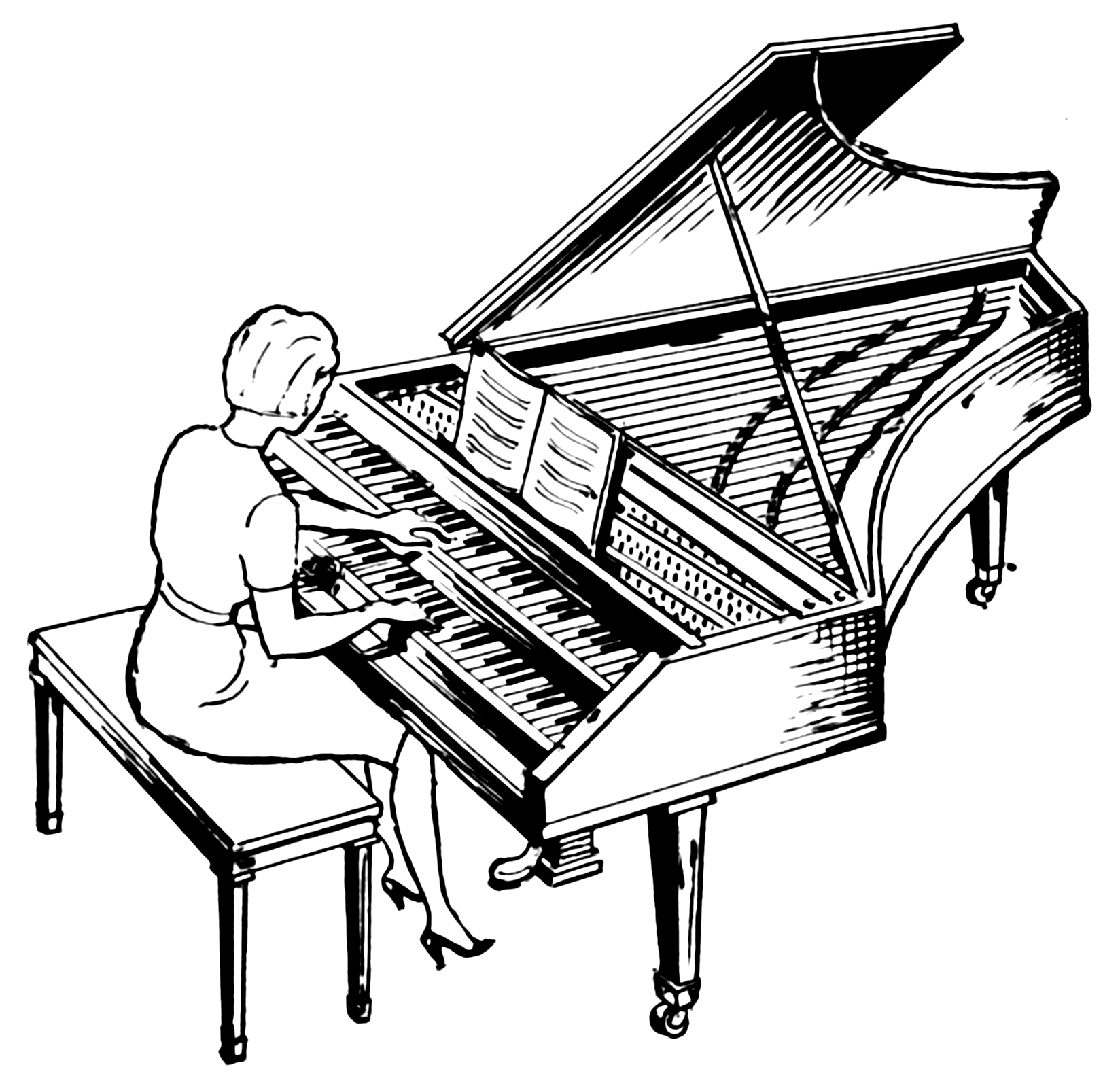 Harpsichord Drawing