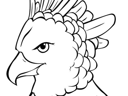 440x330 Harpy Eagle Coloring Pages, Harpy Eagle Coloring Page
