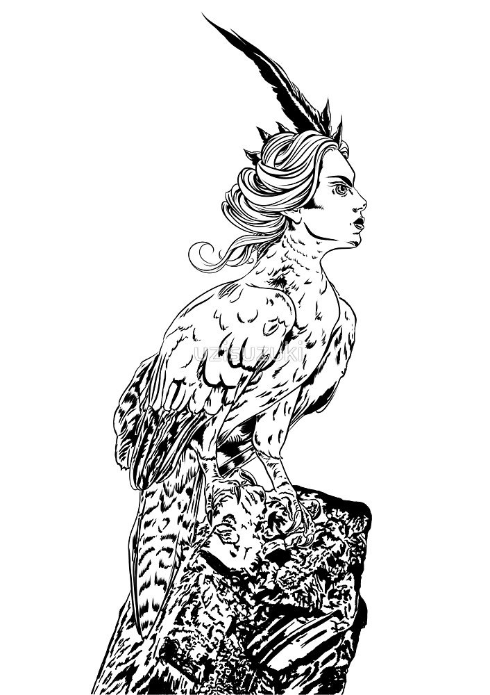 706x1000 Harpy Eagle Harpy