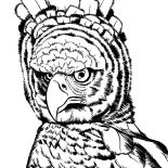 155x155 Online Free Coloring Pages For Kids