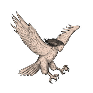300x300 Tattoo Style Illustration Of A Harpy, In Greek And Roman