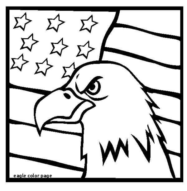 600x613 bald eagle drawing unique bald eagle coloring