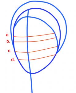247x302 Drawing Printout How To Draw Harriet Tubman, Harriet Tubman