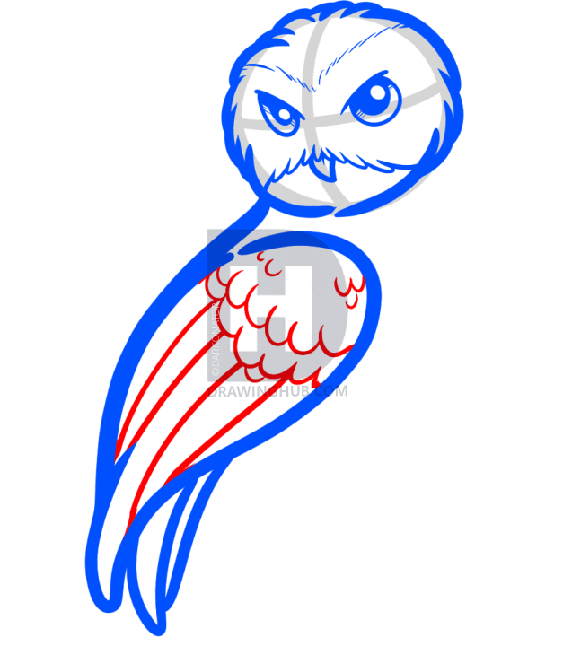627x720 How To Draw Hedwig, Harry Potter, Step