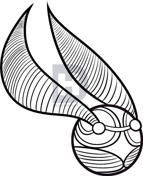 585x720 How To Draw The Golden Snitch, Step