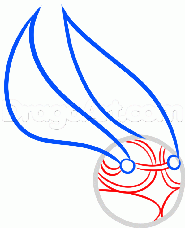 598x736 How To Draw The Golden Snitch Step Potter In Golden