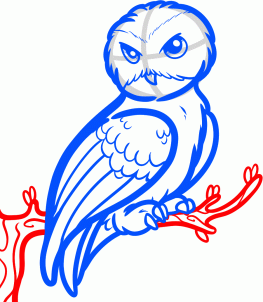 263x302 Drawing Printout How To Draw Hedwig, Harry Potter