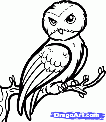 454x520 Learn How To Draw Hedwig, Harry Potter, Characters, Pop Culture