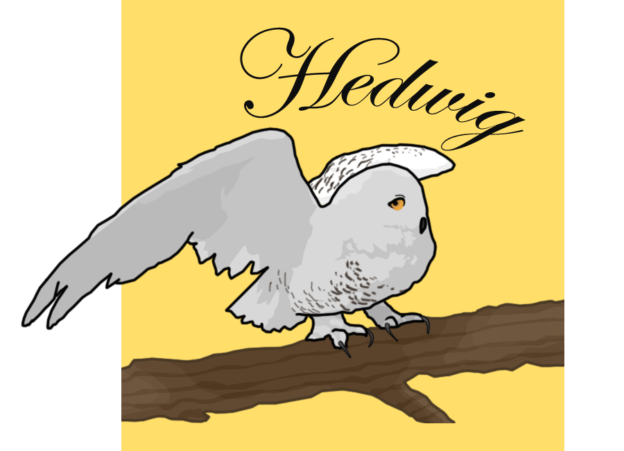 900x651 Collection Of Free Hedwig Drawing Harry's Download On Ui Ex