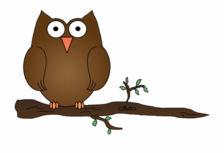 920x628 Hd Gallery For Owl On Branch Clipart