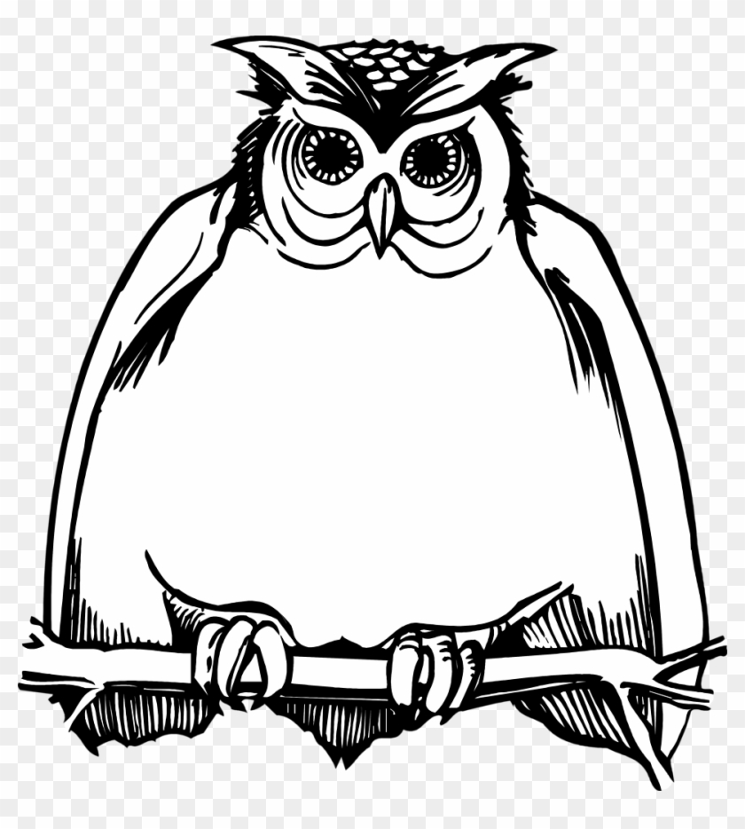 840x934 Harry Potter Owl Clipart Images In Collection
