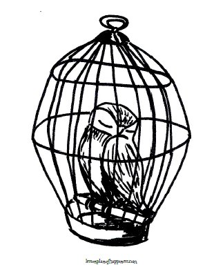 310x400 Owl Coloring