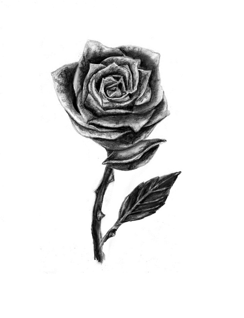 500x653 Harry Rose Tattoo Uploaded