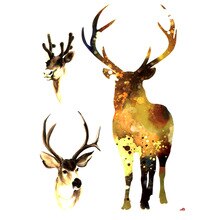 220x220 Buy Tattoos Harry Styles And Get Free Shipping