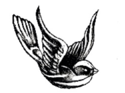500x373 Harry's Bird Tattoo Shared