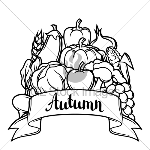 500x500 Harvest Festival Background Autumn Illustration With Sea Gl